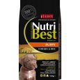 NutriBest Puppy Chicken & Rice Premium 15kg