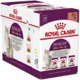 Royal Canin Sensory Taste Gravy Κομματάκια σε Σάλτσα 85gr