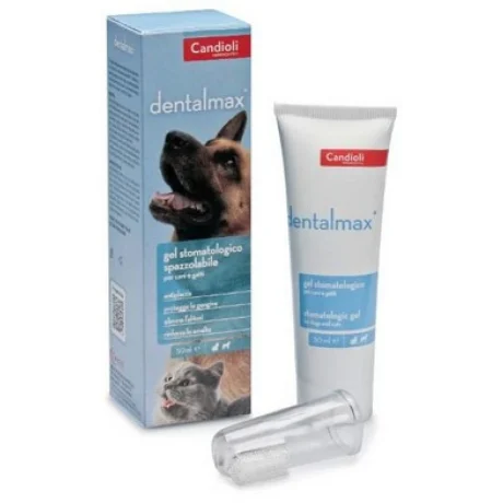 Dentalmax Οδοντόκρεμα Με Οδοντόβουρτσα