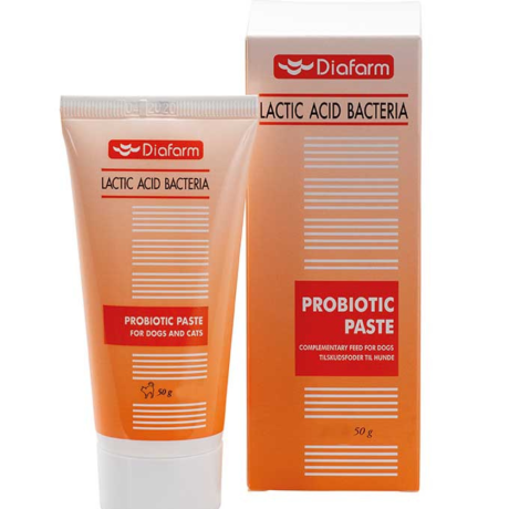 DF PROBIOTIC PASTE ΣΥΜΠΛΗΡΩΜΑ ΠΡΟΒΙΟΤΙΚΩΝ 50ml