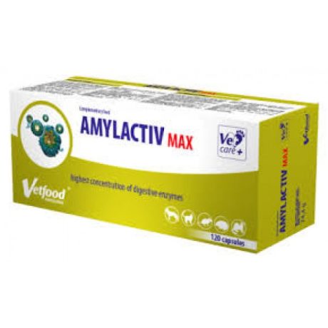 Vetfood Amylactiv Max Συμπλήρωμα Διατροφής Σκύλου για Γαστρεντερικές Διαταραχές 120 Κάψουλες